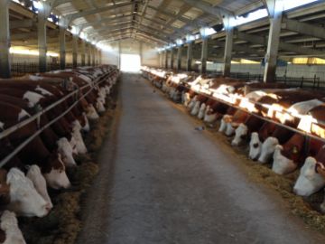 ÇERKEŞ MILK UNION PROJECT HAS BEEN SUCCESSFULLY COMPLETED